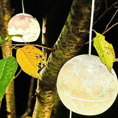 Creative Planet Outdoor Lamp (each)
