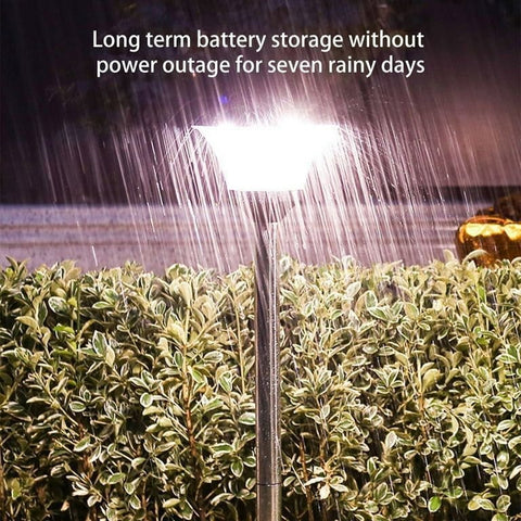 Solar-Powered Garden Light