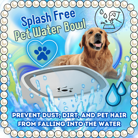 Splash Free Pet Water Bowl