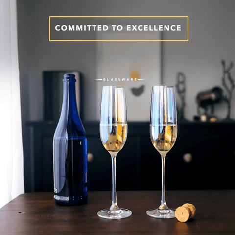 Champagne Glasses (Clear)(6 pcs)