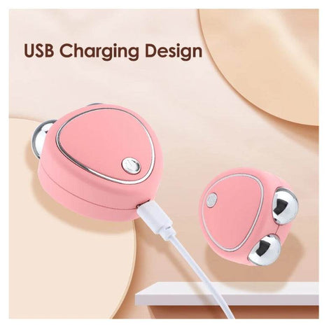 EMS Rejuvenation Face Lift USB)