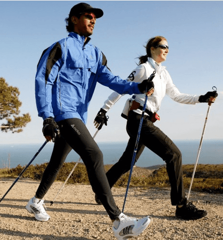 Ultra Light Hiking Pole