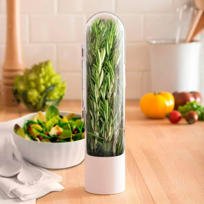 Fresh Herb Storage Saver - DMC Wholesale