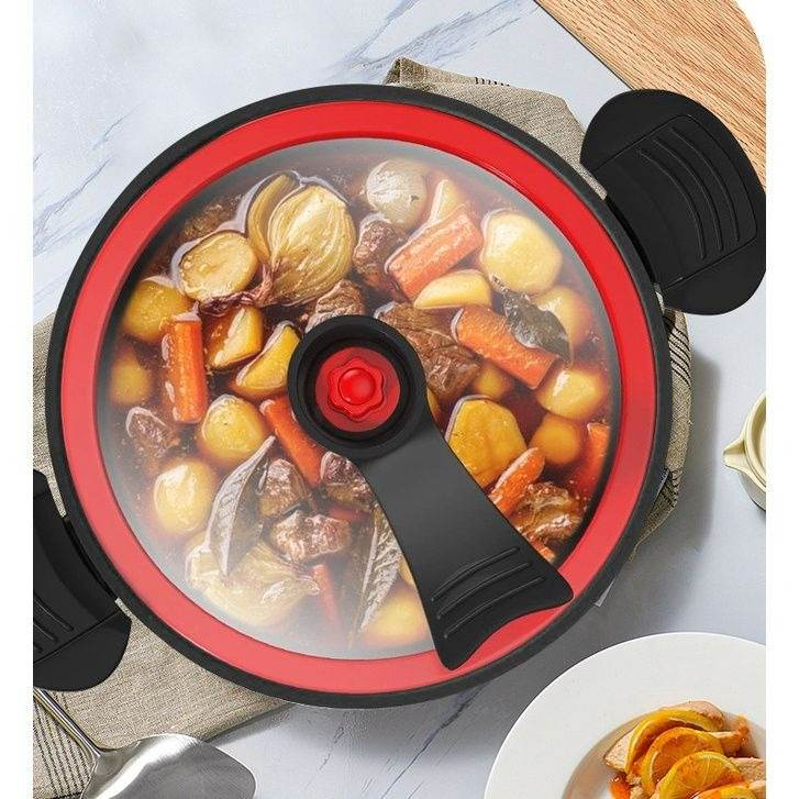 Micro Pressure Cooker (22cm) - DMC Wholesale