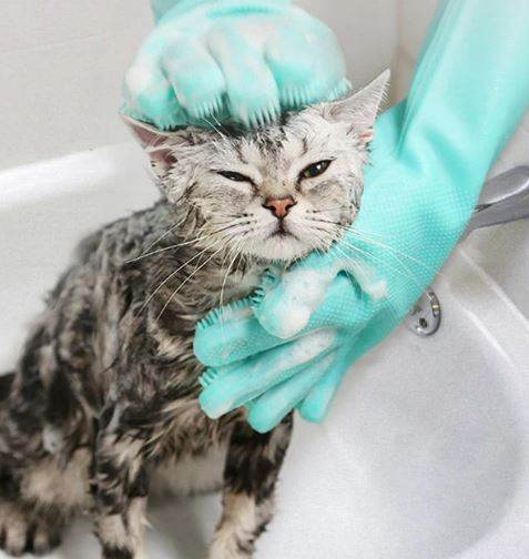 Multifunctional Silicone Pet Scrub Gloves - DMC Wholesale