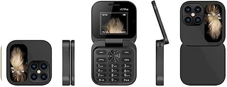 Mini Dual SIM 2G Flip Phone