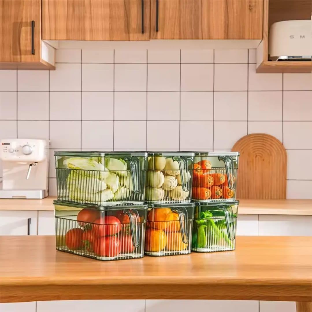 Transparent Fridge Storage Container With Handle (Each)