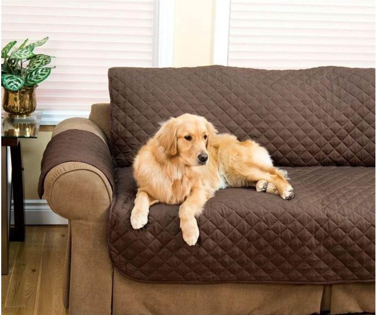 Protective Couch Cover (2 Seater) - DMC Wholesale