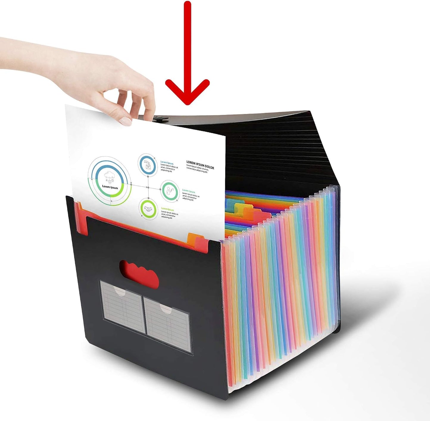 Expanding File Organiser (24 Pockets)