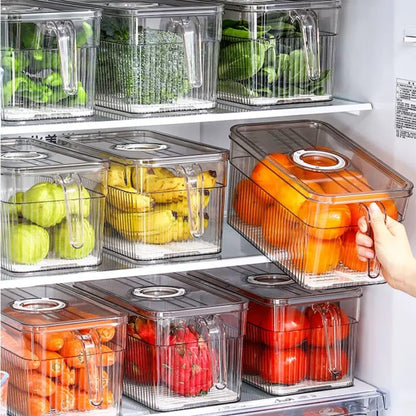 Transparent Fridge Storage Container With Handle (Each)