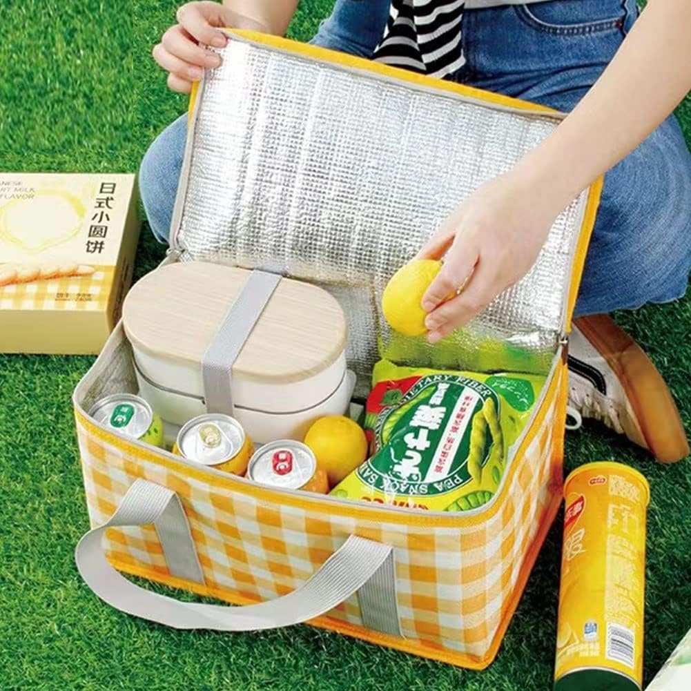 Insulated Reusable Food Picnic Bag
