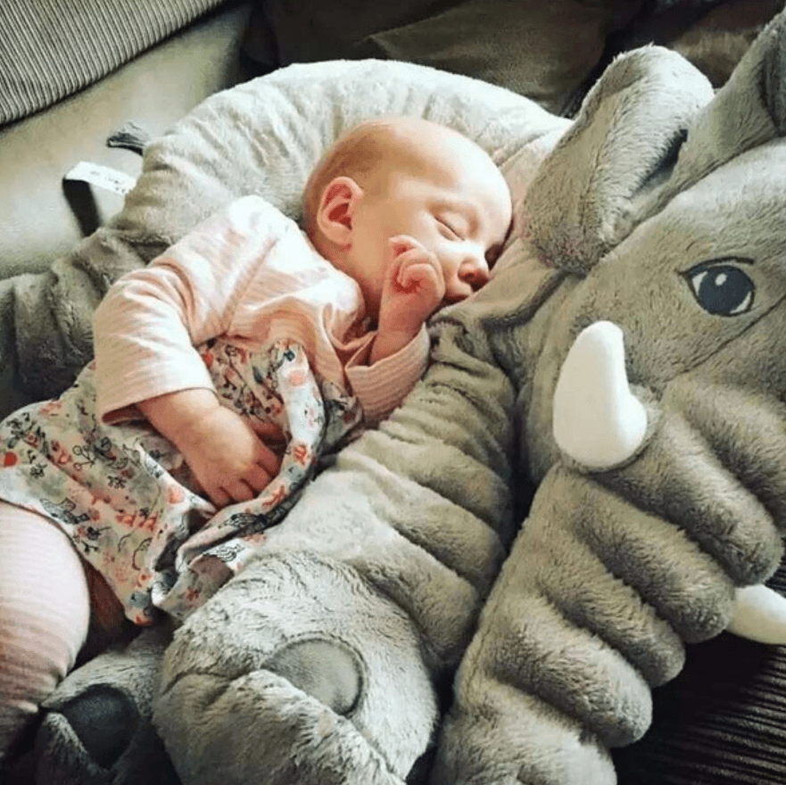 Elephant Soft Huggable Plush Toy - DMC Wholesale