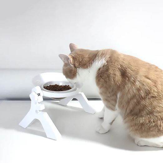 Multipurpose Pets Bowl - DMC Wholesale