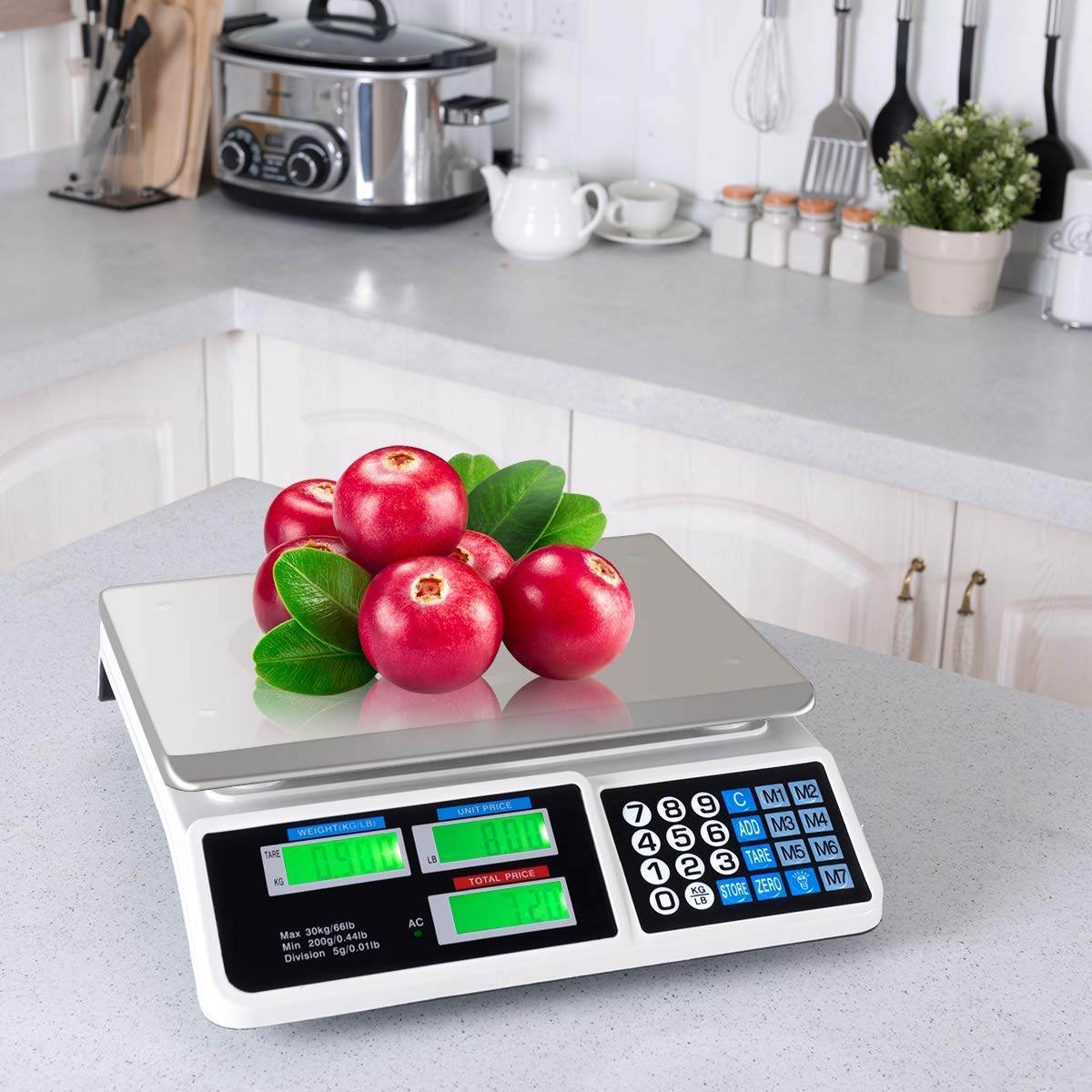 Digital Pricing Scale - DMC Wholesale