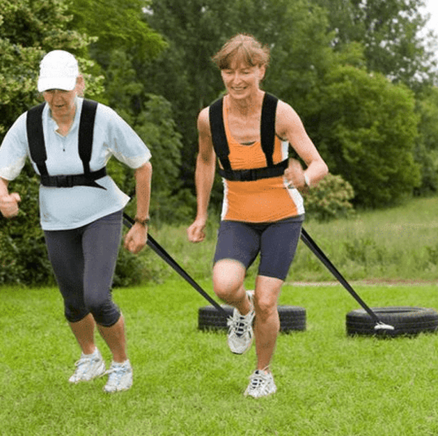 Fitness Sled Harness - DMC Wholesale