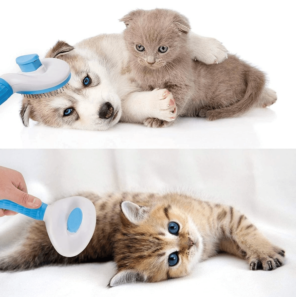 Pet Cleaning And Grooming Beauty Brush - DMC Wholesale